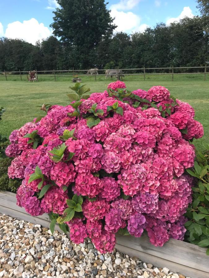 La Grange Aux Hortensias Thiergeville ภายนอก รูปภาพ
