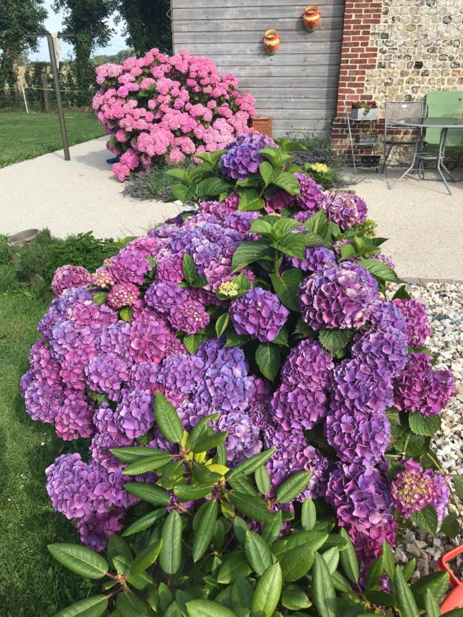 La Grange Aux Hortensias Thiergeville ภายนอก รูปภาพ